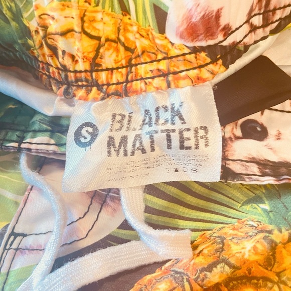Hot Topic Black Matter Pineapple Cat Swim Trunks - Picture 6 of 10